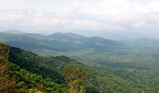 Undulating hills such as Netarhat, Mundu and Huluk mark Palamau, one of the original nine tiger reserves in India. It will require nothing less than a miracle to halt this reserve's slide into obscurity, feels Kazmi.