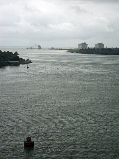 Apart from existing perils such as fishing net entanglement, habitat loss, prey depletion from overfishing, collisions with boats, and polluted waters, the humpback dolphin faces yet another threat from proposals to expand the port's facilities. Apart from existing perils such as fishing net entanglement, habitat loss, prey depletion from overfishing, collisions with boats, and polluted waters, the humpback dolphin faces yet another threat from proposals to expand the port's facilities.