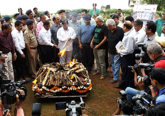 Maharashtra Forest Minister Dr. Patangrao Kadam lights the pyre with tiger and leopard skins at the Maharashtra Government Sahyadri Guest House in Malabar Hill, Mumbai.