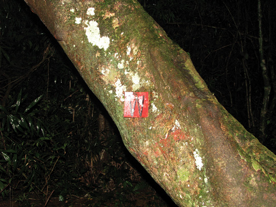Palm-sized aluminium tags had been put up by Green and his assistants to mark the intersections of trails. Similar boards such as this one from the Kodayar forests, perhaps placed by later researchers or the Forest Department, continue to serve as route markers.