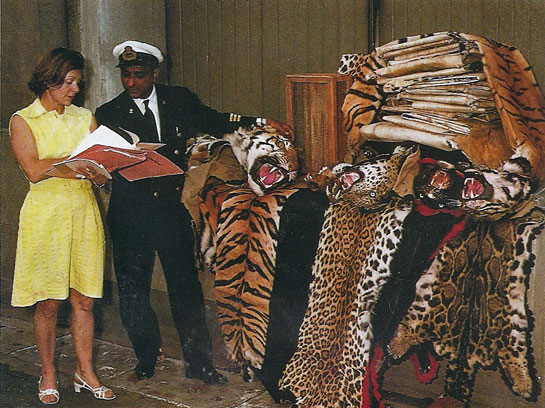 Founder Trustee, World Wide Fund for Nature (WWF) India, appointed by late Prime Minister Indira Gandhi as a Member of the Tiger Task Force for Project Tiger in 1970, Member of the Indian Board for Wildlife for almost two decades, Anne Wright's contribution to India's wildlife conservation movement is immeasurable.