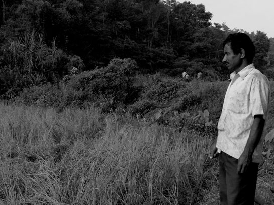 Lokesh anna looks over his ransacked paddy field in Hassan