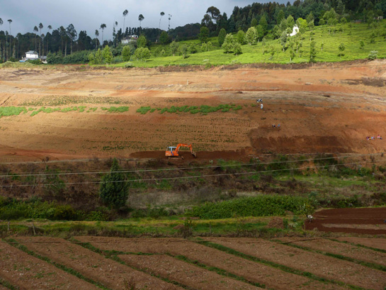 Once widespread, the natural forests and grasslands of the upper Nilgiris have rapidly shrunk in the face of the relentless pursuit of development in the mountains, and establishment of commercial plantations.