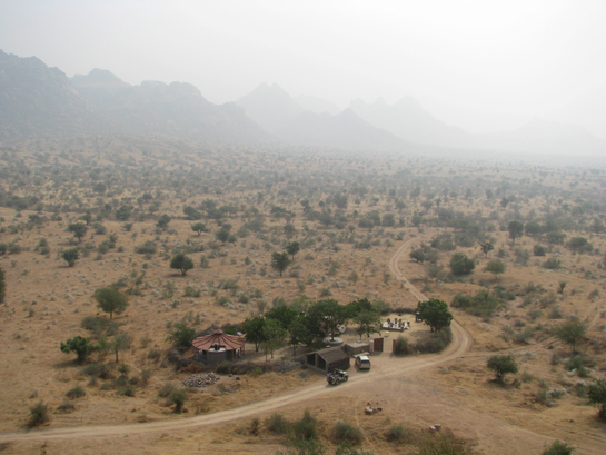 An eco-friendly campsite has been developed in the heart of the park with tents that ensure a comfortable stay for the guests.