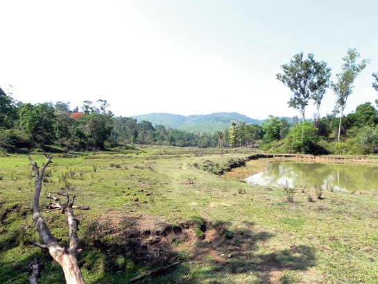 Secured corridor land where the village of Thirulakunnu once stood. The land to the right, including the pond, remains under private ownership at present.