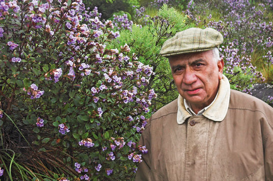 A true lover of the wilds, Ashok Kumar is seen here enjoying the Strobilanthes flowering in the Eravikulam National Park.