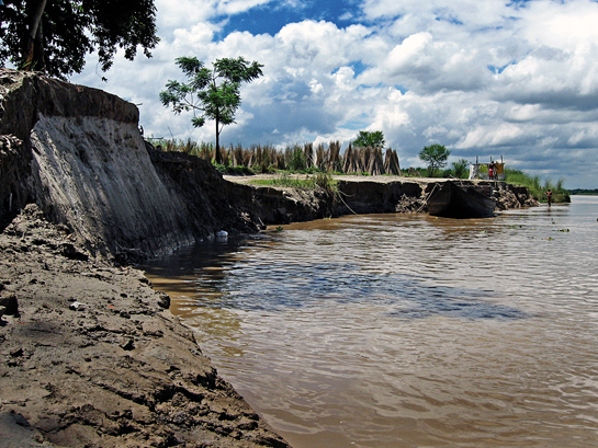 Along the bank of the Ganges river in West Bengal, the loss of green cover has led to erosion and will eventually cause ecosystem collapse. This directly affects the lives of communities settled along the river bank, often exposing their settlements to flooding during the monsoon.