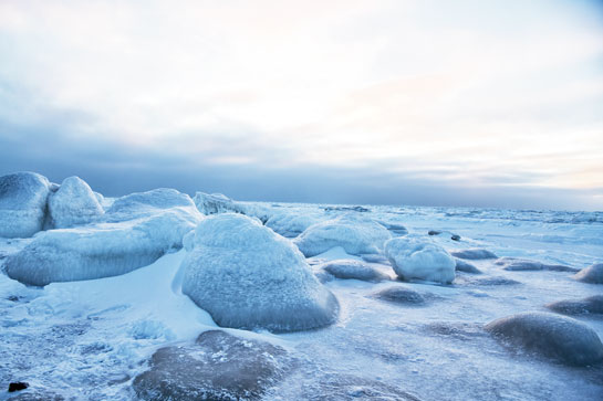 The treeless tundra poses its own desert charm and fierceness with temperatures falling below minus 35o C and bone-chilling winds reminding us why the north pole is among the harshest of landscapes.