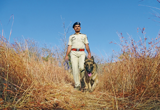 Aatif Husain is part of a mobile squad that works to detect poachers and wildlife contraband. Here, he is seen with Jayni, his trained German Shepherd partner on the squad.