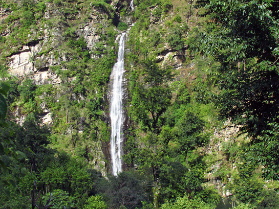 Banj forests are an important source of mountain streams - both big and little.
