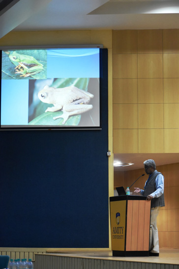 B.C. Choudhury addressing the audience. B.C. Choudhury addressing the audience.