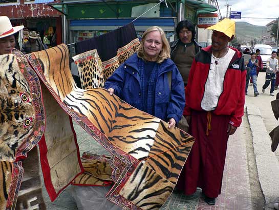 Belinda Wright has dedicated her life to wildlife conservation, and has pioneered investigations into the illegal wildlife trade in India, Nepal, Bhutan and China. She has helped to expose the trade in shahtoosh and its connection with the tiger bone trade, by tracking tiger skins from India  to the Tibetan plateau.