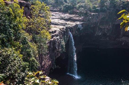 Sunabeda has no less than 12 waterfalls including the famous Beniadhus (seen here) and Kharaldhus, which are absolutely spectacular to behold in the monsoon.