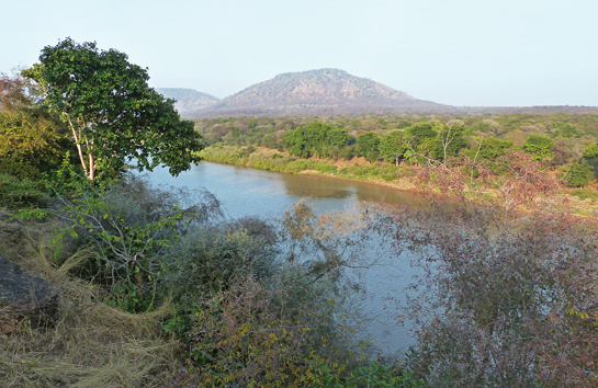 The Kuno river flows through the wildlife sanctuary that bears its name. A healthy prey base thrives here in a mix of deciduous forests, interspersed by grasslands.