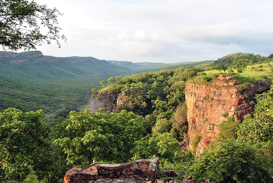 The Ranthambhore Tiger Reserve is a source site for tigers in the Western India Tiger Landscape, despite being under immense anthropogenic pressure.