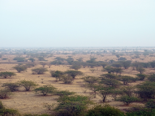The Ranthambhore Tiger Reserve is a source site for tigers in the Western India Tiger Landscape, despite being under immense anthropogenic pressure.