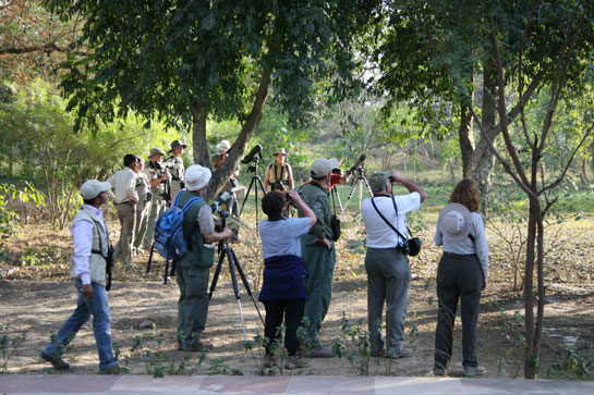 Mela Kothi, The Chambal Safari Lodge, Chambal, Uttar Pradesh