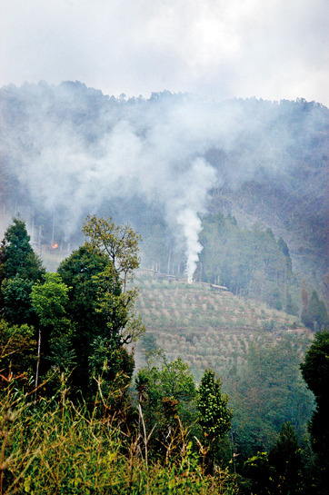 The Draft National Forest Policy asks for a âmarket-oriented approach embedded in sustainability' to promote the extraction of forest biomass under the guise of âsustainability'. The Draft National Forest Policy asks for a âmarket-oriented approach embedded in sustainability' to promote the extraction of forest biomass under the guise of âsustainability'.