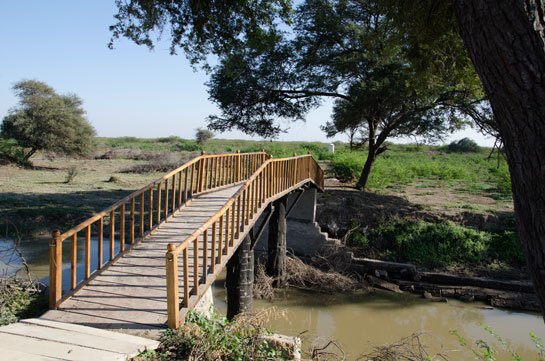 Burmese Bridge in Khijadiya Bird Sanctuary