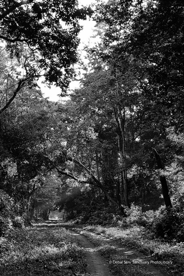 Buxa Tiger Reserve Buxa Tiger Reserve