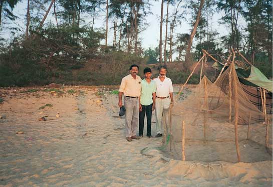C.A. Reddy, (first from left) with volunteers and turtle-protection nets at Galgibag beach in south Goa.