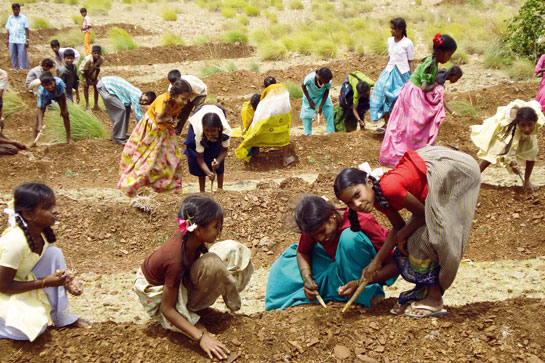 The children engage in biodiversity regeneration activities.