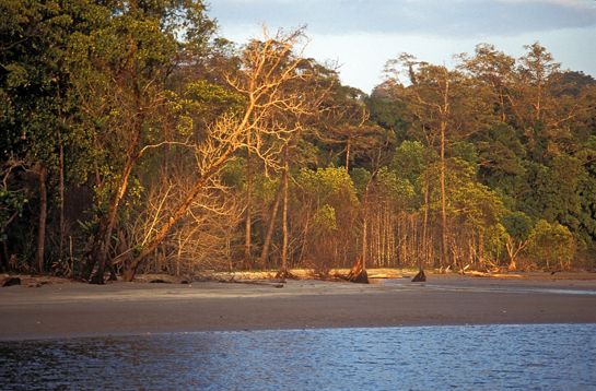 The coastal forest of Galathea National Park in the south of the island, along with the Campbell Bay National Park in the north sit within the region that has been declared as a Tribal Reserve.