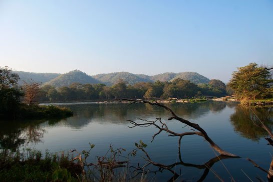 Cauvery Wildlife Sanctuary