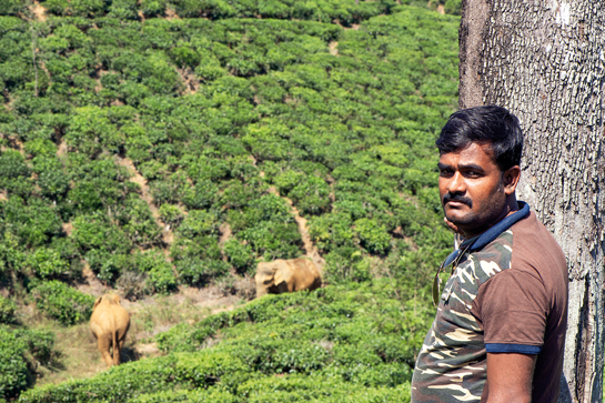In Valparai. Project Leader Sajal Madhu learnt about human-elephant conflict mitigation strategies from scientists of the Nature Conservation Foundation.