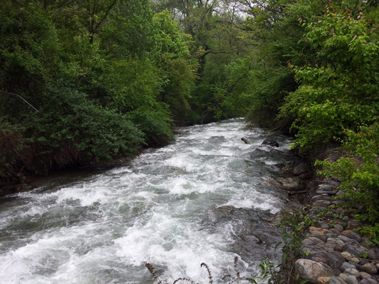 Dagwam river Dachigam
