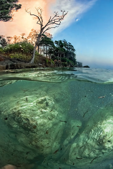 The deep, blue ocean and tropical forests coexist in close contact as seen in this image of Neil Island, located 37 km. south of the Andaman Islands. The deep, blue ocean and tropical forests coexist in close contact as seen in this image of Neil Island, located 37 km. south of the Andaman Islands.