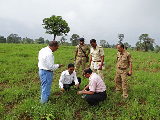 Professor Dr. G. D. Muratkar, head of the Botany and Environmental Science Department of the Arts, Science and Commerce College at Chikhaldara, works with the Maharashtra Forest Department to hold workshops and training programmes for guards, foresters and other officials.