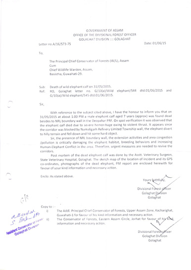 The Golaghat Divisional Forest Officer's letter to the Principal Chief Conservator of Forests (W/L), Assam cum Chief Wildlife Warden, Assam. The Golaghat Divisional Forest Officer's letter to the Principal Chief Conservator of Forests (W/L), Assam cum Chief Wildlife Warden, Assam.