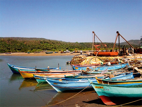 Fishing vessel owners found a way around the ban on purse seine fishing within the territorial waters of Maharashtra by hiring labourers to haul purse seine nets on smaller boats in place of installing hydraulic equipment on them.