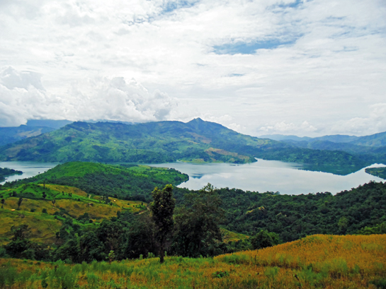 Thousands of Amur Falcons fill the skies near the Doyang reservoir and Pangti village each year in October. Some suggest this is the largest congregation of the species anywhere in the world.