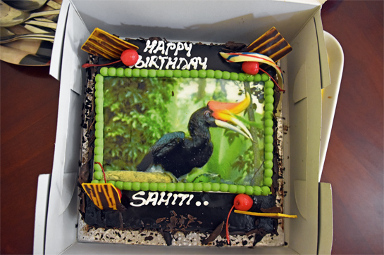 The birthday cake.