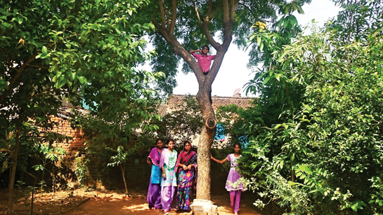The Kushwaha family in their garden in Gundrai.