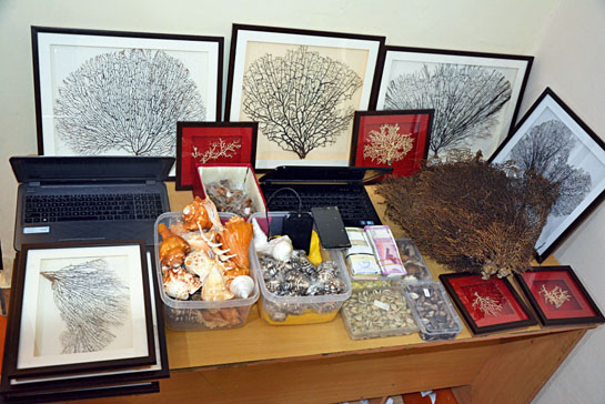 Items seized during the raid on Acharya Kalki Krishna's office in late June. Several illegal wildlife products including hatha jodi and siyaar singhi were found in this well-established tantric practitioner's possession.
