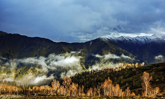 Nestled in glorious valleys crafted over millennia, the Himalayan state of Jammu and Kashmir has plenty to offer the visitor - from scrub forests and meadows to subtropical pine and broadleaf forests that play host to myriad wildlife.