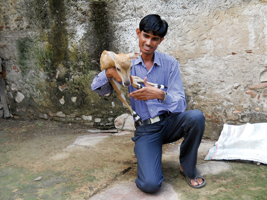 The quiet wildlife defender, Govardhan Meena, is the future of conservation. Steadfast in his purpose, he works round the clock to build bridges between people and wildlife in one of India's prime tiger habitats, the Ranthambhore Tiger Reserve.