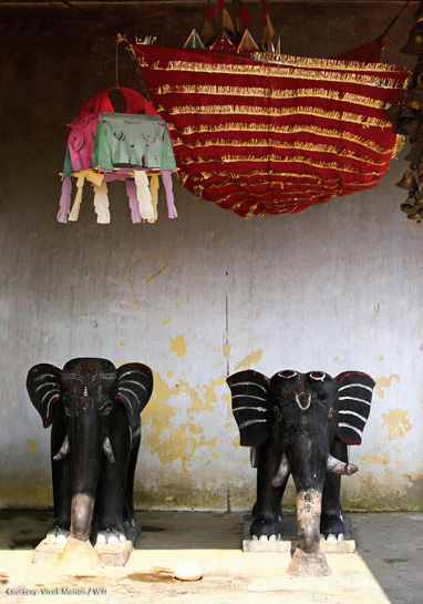 Elephant idols are worshipped at a temple near the Bakhira Jheel Wildlife Sanctuary, Uttar Pradesh. Elephant idols are worshipped at a temple near the Bakhira Jheel Wildlife Sanctuary, Uttar Pradesh.