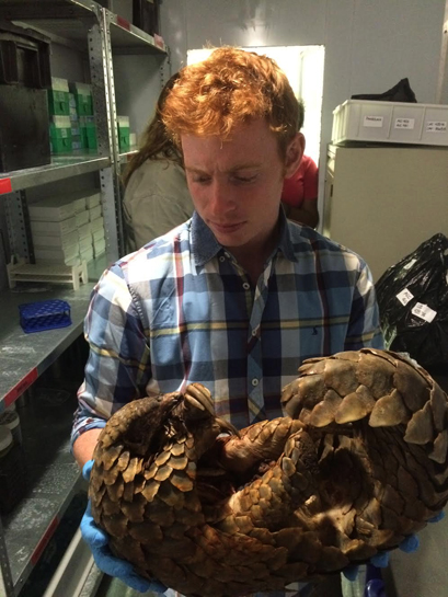 People For Pangolins co-director Elliot Newton holds a pangolin carcass that was found attached to an electric fence in South Africa. People For Pangolins co-director Elliot Newton holds a pangolin carcass that was found attached to an electric fence in South Africa.