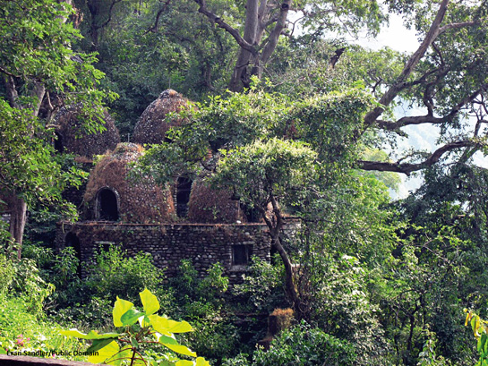 The ashram, made famous by the Beatles visit in 1968, lies within the core of the Rajaji National Park, which was declared a tiger reserve last year. The reopening of this ashram violates the Wildlife Protection Act, 1972, that forbids any commercial activities in Protected Areas.