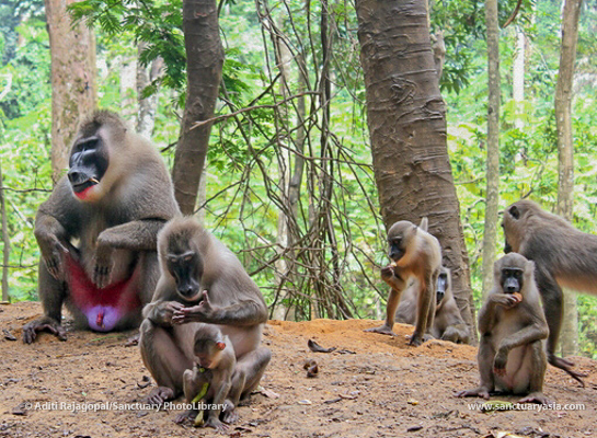Family grooming time