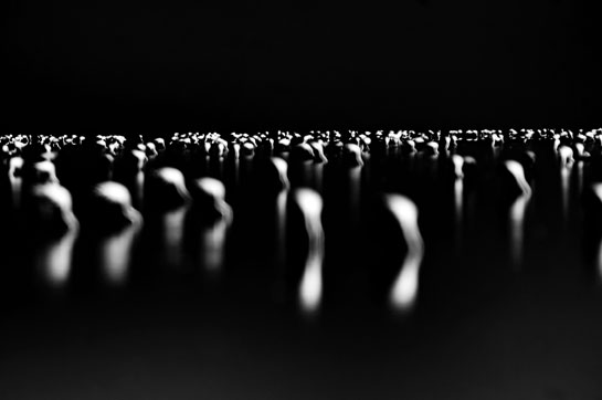 A flamingo flamboyance shot at Khadir Island in Gujarat by Ganesh gives us an insight into his artistic viewpoint.