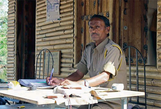 Rampal Saini, a veteran forest guard at the Ranthambhore Tiger Reserve was tragically killed by Ustad while on a foot patrol in the park Rampal Saini, a veteran forest guard at the Ranthambhore Tiger Reserve was tragically killed by Ustad while on a foot patrol in the park