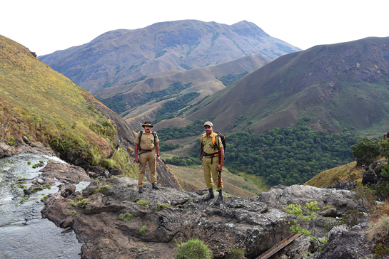 Guards out on patrol duty stand atop a hill as the expansive shola forest they protect stretches behind them. GPS-based patrolling under the MSTrIPES protocol helps these guards map their routes and maintain a database of their patrol tracks.
