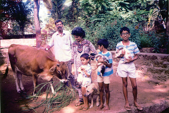 An older picture of the Alvares' tight-knit family, with their dogs, ducks, rabbits, cow and three sons who have chosen to opt out of the rat race to follow their hearts and minds.