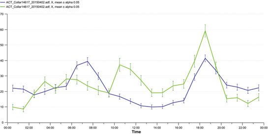 Post-injury, the researchers saw a shift in the activity peak with Gabbar being most active between 10:00 and 13:00 hours - a strategy, they believe, he adopted to avoid confrontation with other tigers while he was recovering.