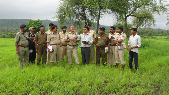 By enveloping young and old into his mission to understand, conserve and protect the grasslands of India, Professor Dr. G. D. Muratkar has demonstrated the power that lies hidden in the minds and purpose of all green teachers.